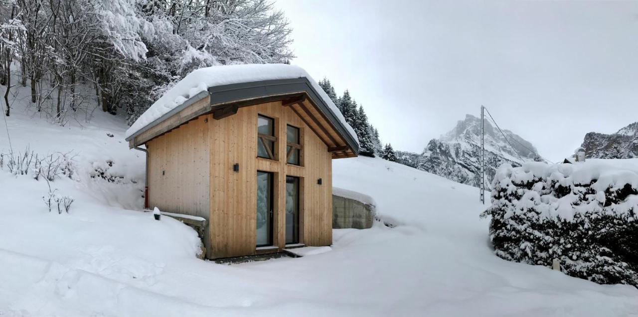Chalet*** Au Pied D'Une Prairie Face A La Montagne Sixt-Fer-a-Cheval ภายนอก รูปภาพ