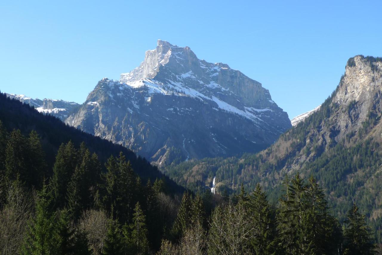 Chalet*** Au Pied D'Une Prairie Face A La Montagne Sixt-Fer-a-Cheval ภายนอก รูปภาพ