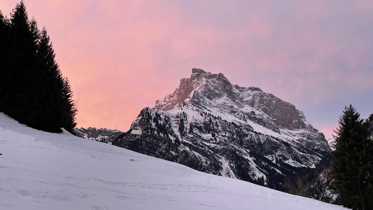 Chalet*** Au Pied D'Une Prairie Face A La Montagne Sixt-Fer-a-Cheval ภายนอก รูปภาพ