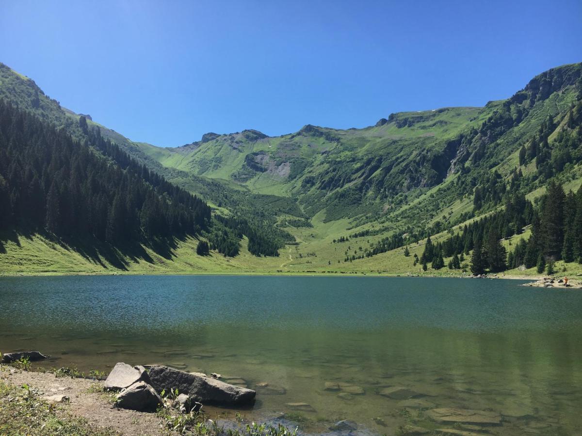 Chalet*** Au Pied D'Une Prairie Face A La Montagne Sixt-Fer-a-Cheval ภายนอก รูปภาพ