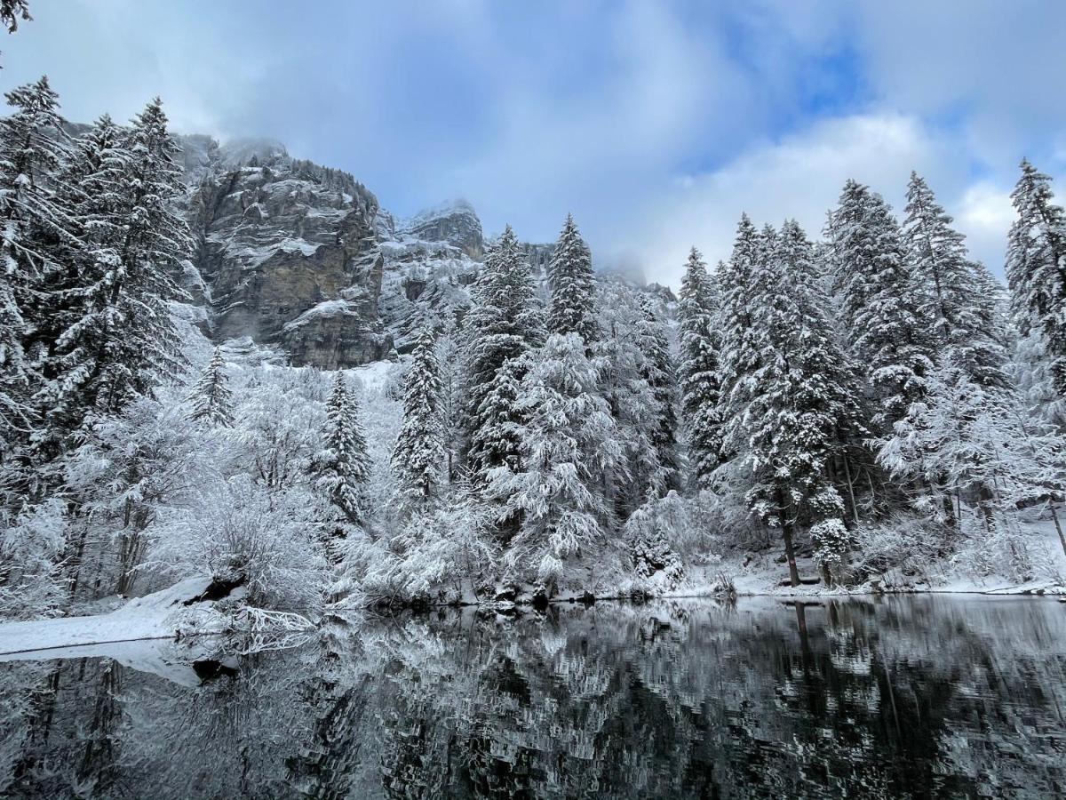 Chalet*** Au Pied D'Une Prairie Face A La Montagne Sixt-Fer-a-Cheval ภายนอก รูปภาพ