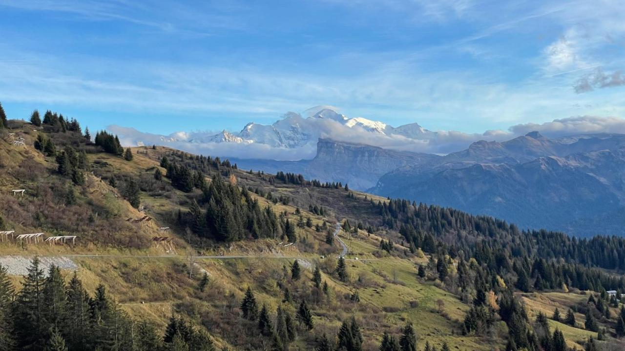 Chalet*** Au Pied D'Une Prairie Face A La Montagne Sixt-Fer-a-Cheval ภายนอก รูปภาพ