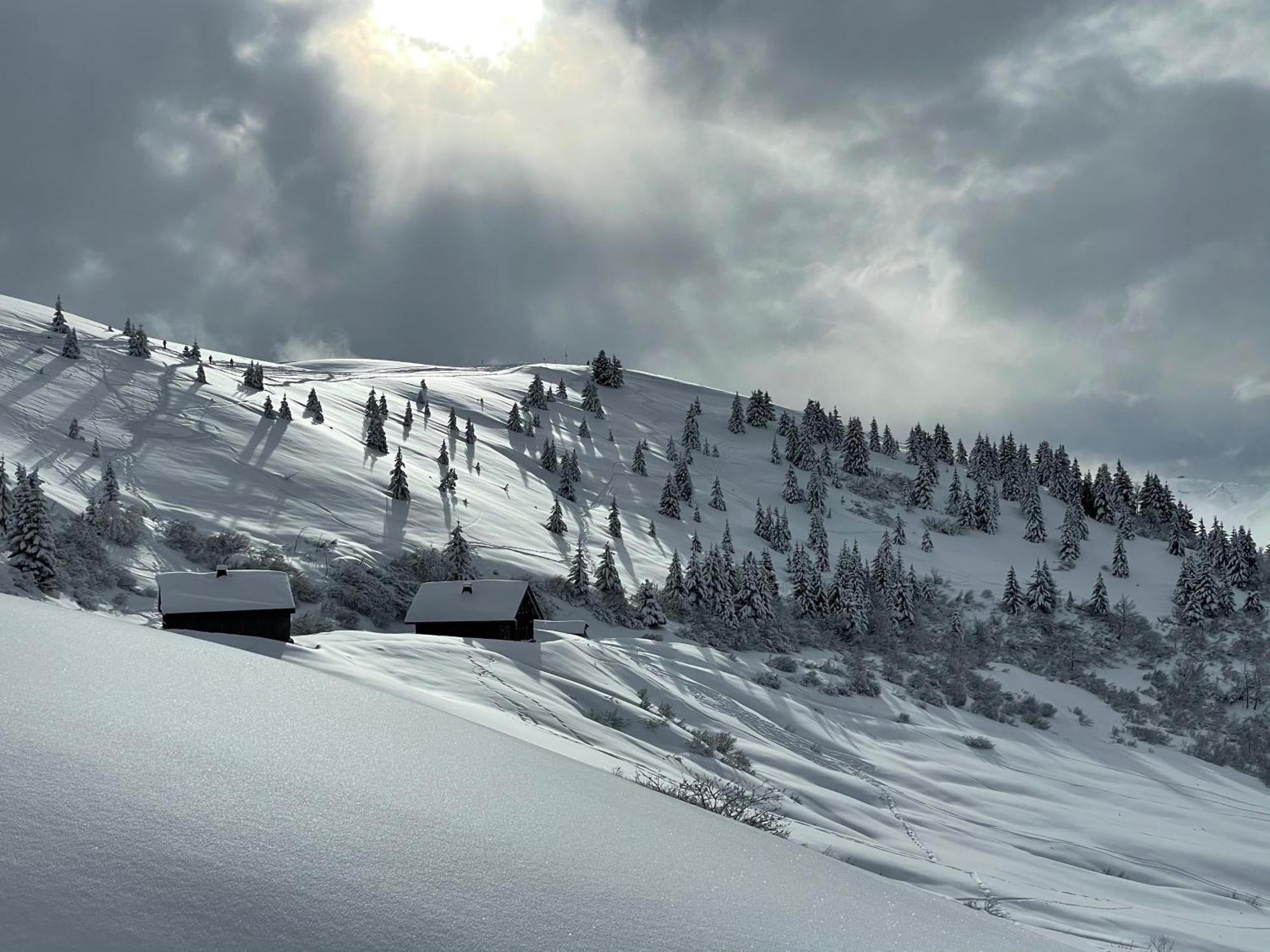 Chalet*** Au Pied D'Une Prairie Face A La Montagne Sixt-Fer-a-Cheval ภายนอก รูปภาพ